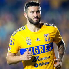 Gignac pone en duda que Miguel Herrera sea buen candidato para dirigir al Tri