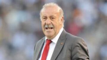 Vicente del Bosque.