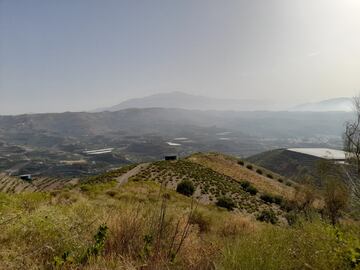 Seguramente los ciclistas no se den cuenta esta panorámica. Monte bajo axárquico con matorral y, de fondo, Sierra Tejeda