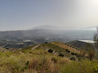 Seguramente los ciclistas no se den cuenta esta panorámica. Monte bajo axárquico con matorral y, de fondo, Sierra Tejeda