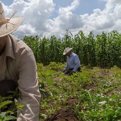 Actividad económica en México incrementó 0.6% en mayo de 2021: INEGI