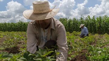 Actividad económica en México incrementó 0.6% en mayo de 2021: INEGI 