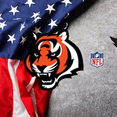 Cincinnati Bengals vs Arizona Cardinals: times, how to watch on TV, stream online | NFL