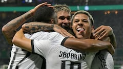 Botafogo roza la tragedia, pero acaba con Palmeiras