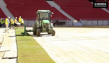 El césped se ha estado cultivando desde diciembre especialmente para las condiciones climatológicas y luminosas del Wanda Metropolitano.