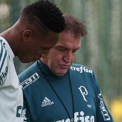 Mina y Borja vuelven para darle una mano a Palmeiras