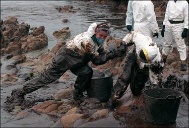 Decenas de voluntarios limpian las playas de la costa gallega. 