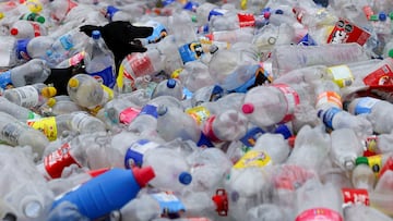 Del bote al tribunal: Connecticut quiere policía para multar recicladores