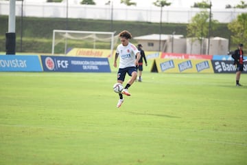 El equipo de Reinaldo Rueda tiene el gran objetivo de conseguir los tres puntos ante Ecuador en su casa. El partido será clave para la clasificación y el entrenador ya determina los detalles de los 11 jugadores que comenzarán el partido este jueves 13 de octubre. 