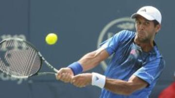 El tenista español Fernando Verdasco.