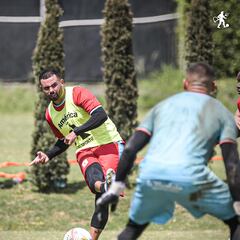 Bomberos controlan ataque de abejas africanas en sede de América