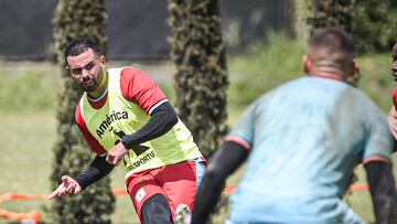 América de Cali y un ataque de abejas en la sede deportiva