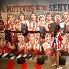 Territorio Atleti: 5.000 visitas y Fernando Torres de estrella