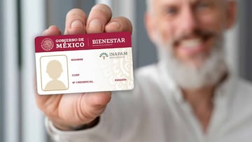 Descubre en qué transportes públicos puedes viajar gratis mostrando tu Tarjeta del INAPAM en CDMX siendo adulto mayor.