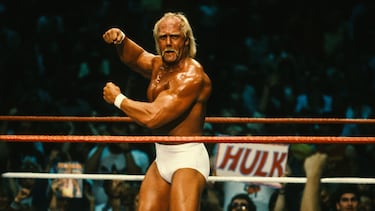 Hulk Hogan fue uno de los pioneros en la transición de la lucha libre al estrellato de Hollywood, especialmente en el género de la comedia familiar y acción de bajo presupuesto en las décadas de 1980 y 1990.  Aunque su filmografía no alcanzó el mismo nivel de éxito crítico que la de Dwayne Johnson o Dave Bautista, Hogan estableció el precedente para que otros luchadores dieran el salto. Entre sus títulos más destacados están: 'Rocky III', 'Lucha sin límite', 'Comando Suburbano', 'Mr. Nanny' o '3 Ninjas en el parque de atracciones'.