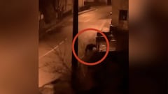 En Madrid salieron pavos a la calle, pero lo que se ha visto en Asturias realmente intimida...