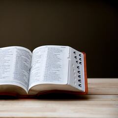 La rectificación de la RAE que afecta a las tildes