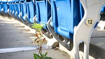 FOXBOROUGH, MA - OCTOBER 18: A weed grows through the ground at an empty Gillette Stadium on October 18, 2020 in Foxborough, Massachusetts. Kathryn Riley/Getty Images/AFP
== FOR NEWSPAPERS, INTERNET, TELCOS & TELEVISION USE ONLY ==
