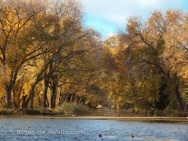 G. P. Canal de Castilla, la bicicleta retro en el centro de la fiesta