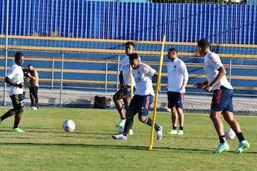 El equipo de Reinaldo Rueda se prepara para enfrentar a la Selección Argentina en Brasilia, por un lugar en la final de la Copa América.