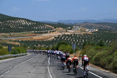 El pelotón durante la octava etapa.