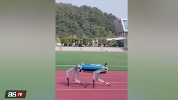 Un usuario compartió este vídeo de este robot de cuatro patas que es capaz de correr al ritmo del hombre más rápido del planeta.