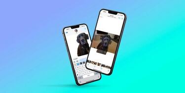 iOS 16 tendrá una función con la que elimina el fondo de una foto