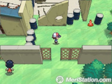 Pokémon Blanco & Negro, Impresiones