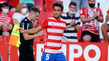 Luis Milla marcó el segundo del Granada.