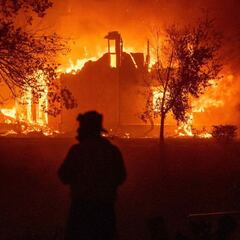 The New York Times incluye a una empresa española entre las mejores del mundo en 2020