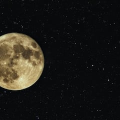 Un multimillonario japonés busca ocho personas a las que invitar a su viaje a la Luna