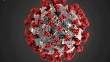 Coronavirus: qu&eacute; es, s&iacute;ntomas, contagio y prevenci&oacute;n