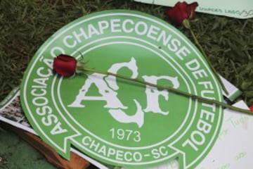 A red rose sits on top of the Chapecoense soccer team logo outside the Arena Conda stadium, where team fans are gathering in Chapeco, Brazil, Tuesday, Nov. 29, 2016. A chartered plane that was carrying the Brazilian soccer team Chapecoense to the biggest match of its history crashed into a Colombian hillside and broke into pieces, Colombian officials said Tuesday. (AP Photo/Andre Penner)