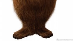 Imágenes de El Oso Yogi: El videojuego