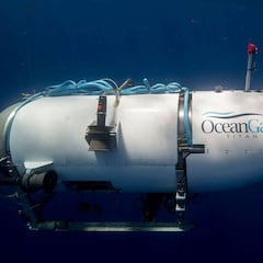 Los animales marinos que viven en la ‘zona de medianoche’ del Titanic