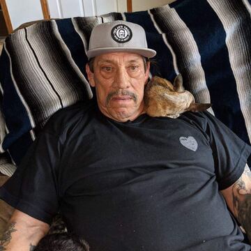 Seguramente si estás volviendo a tu casa envuelto en la oscuridad de la noche lo último que querrías encontrarte es a alguien como Danny Trejo. Conocido por su melena, bigotes y semblante serio, es un actor totalmente encasillado en películas violentas. Lo cierto es que Danny no tiene muy buena fama, si sumamos todo el tiempo que ha pasado en prisión por todas sus condenas el resultado sería de más de diez años entre rejas. Lo cierto es que esa fama de ‘tipo peligroso’ es lo que le ha servido para consolidarse en el mundo del cine.