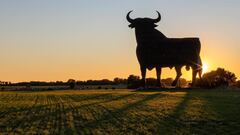 ¿Dónde están los toros de Osborne en España y cuántos hay en todo el mundo?