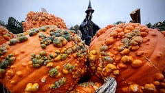 Warty Goblin pumpkins for sale are piled up on display near a giant witch Halloween decoration at Van Houten Farms in Orangeburg, New York, U.S., October 10, 2021. 