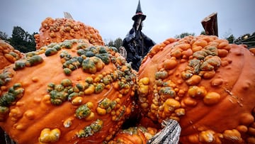 Just when you may have thought “Pumpkin everything” goes too far, the season of the pumpkin spice mania has come upon us.