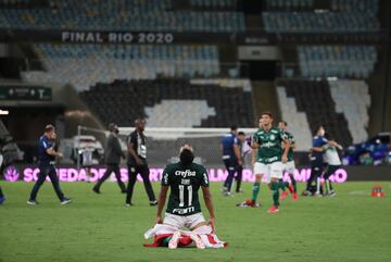 El Palmeiras, campe¨®n de la Copa Libertadores.