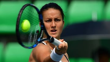 Arruabarrena y Nicolescu lucharán por el título