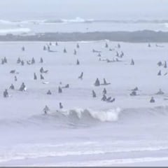 California cierra otra vez sus playas tras las masificaciones vistas en la reapertura