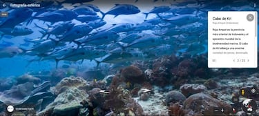 Google Earth: cómo ver el fondo marino de los océanos en tu móvil o un PC