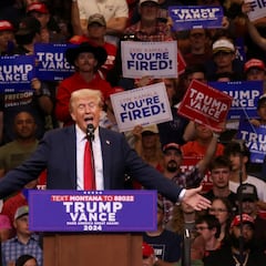 Musk - Trump interview: what time, how and where to watch the meeting online