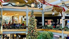 1 de noviembre: ¿Cuándo es el próximo feriado del calendario y el siguiente puente en Chile en 2021?