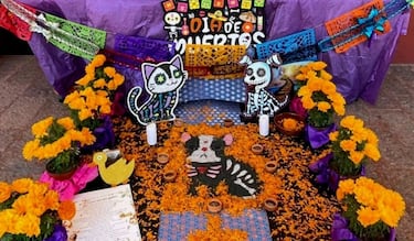 Fecha exacta para poner la ofrenda de las mascotas en Día de los Muertos 2025