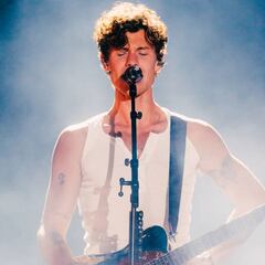 Shawn Mendes se disculpa de esta forma con Chile tras polémico error en Argentina: “Violeta Parra...”
