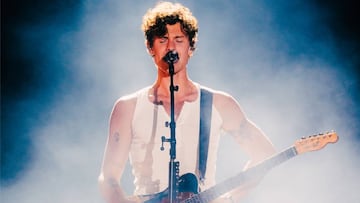 Shawn Mendes se disculpa de esta forma con Chile tras polémico error en Argentina: “Violeta Parra...”