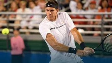 Raonic vence a Del Potro y disputará la final ante Sock