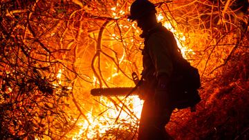 A firefighter works as the Palisades Fire, one of several simultaneous blazes that have ripped across Los Angeles County, burns in Mandeville Canyon, a neighborhood of Los Angeles, California, U.S., January 12, 2025. REUTERS/Ringo Chiu